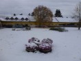 /album/staje-/p1020279-jpg/