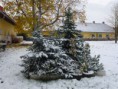 /album/staje-/p1020282-jpg/