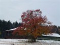 /album/staje-/p1020296-jpg/