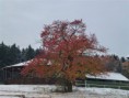 /album/staje-/p1020297-jpg/