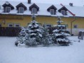 /album/staje-/p1030172-jpg/
