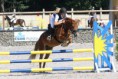 /album/fotogalerie-novinky/nela-527452260670802-357994472-n-jpg/